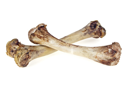 Chicken bones on white background
