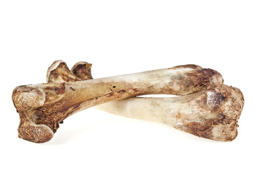 Chicken bones on white background