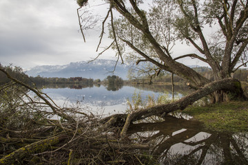 Fototapeta na wymiar Lac de Sainte Hélène - Savoie.