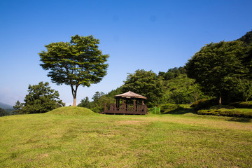 세계문화유산 화순 고인돌 공원