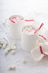 Peppermint hot chocolate with candy canes