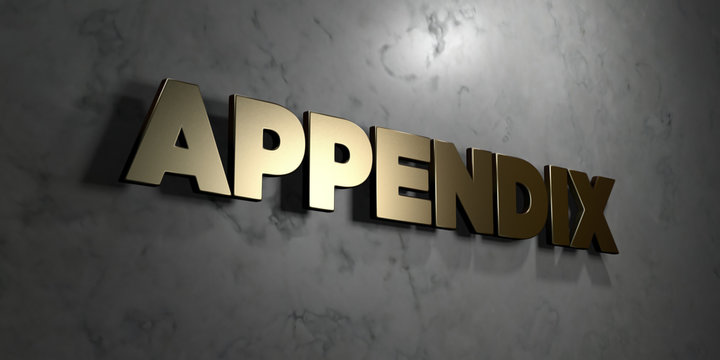 Appendix - Gold sign mounted on glossy marble wall  - 3D rendered royalty free stock illustration. This image can be used for an online website banner ad or a print postcard.