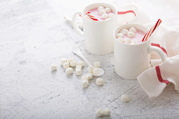 Peppermint hot chocolate with candy canes