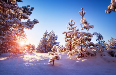 Beautiful tree in winter landscape in late evening in snowfall