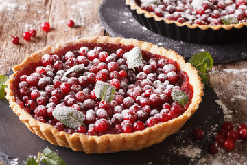 Freshly baked cranberry tart with powdered sugar and mint close-up. horizontal