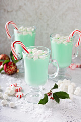 Green peppermint hot chocolate with marshmallows
