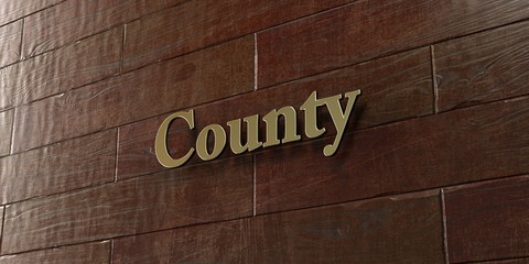 County - Bronze plaque mounted on maple wood wall  - 3D rendered royalty free stock picture. This image can be used for an online website banner ad or a print postcard.