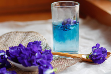 butterfly pea flower