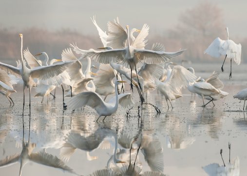 anioły
