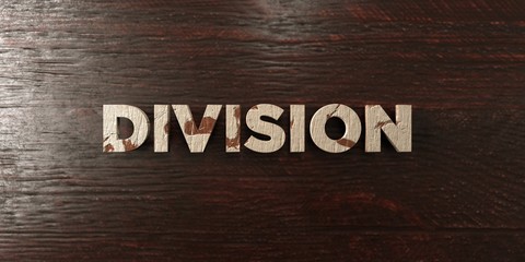 Division - grungy wooden headline on Maple  - 3D rendered royalty free stock image. This image can be used for an online website banner ad or a print postcard.