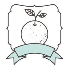 Orange fruit icon. Healthy organic and fresh food theme. Isolated design. Vector illustration