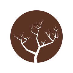 tree branch hand drawing isolated icon vector illustration design