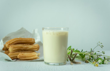 Soybean milk with fried bread stick
