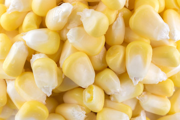 Corn background