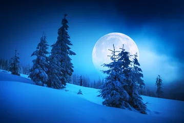 Papier Peint photo autocollant Hiver Moon rise in a winter forest