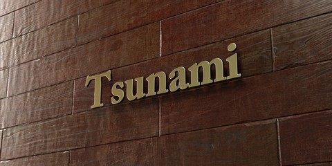 Tsunami - Bronze plaque mounted on maple wood wall  - 3D rendered royalty free stock picture. This image can be used for an online website banner ad or a print postcard.