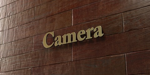 Camera - Bronze plaque mounted on maple wood wall  - 3D rendered royalty free stock picture. This image can be used for an online website banner ad or a print postcard.