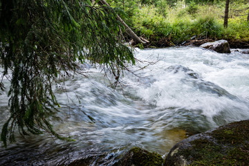 Fototapeta premium mountain river in summer