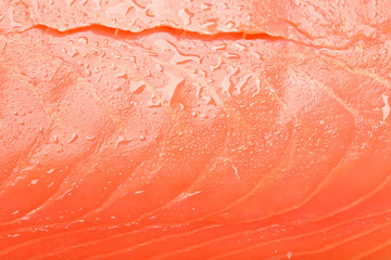 Salmon fish fillet closeup
