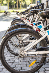 bicyle for urban transport. Rental Bike