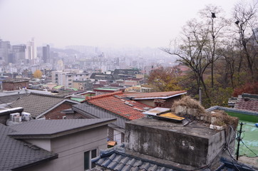Fototapeta premium 가을 풍경