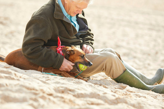 Man and dog sitting on beach, Constantine Bay, Cornwall, UK