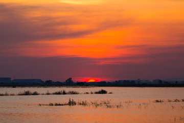 Fototapeta na wymiar Beautiful sunset landscape at rice fields were flooded in Thailand