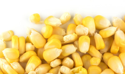 Corn on white background
