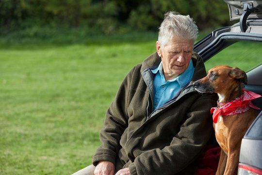 Man and dog sitting in car boot