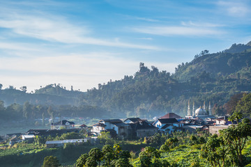 Obraz premium In the morning