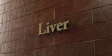 Liver - Bronze plaque mounted on maple wood wall  - 3D rendered royalty free stock picture. This image can be used for an online website banner ad or a print postcard.