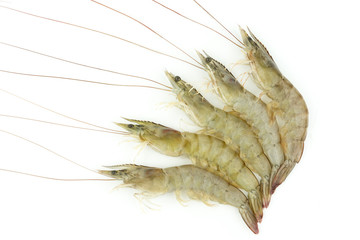 Raw shrimp isolated on white background