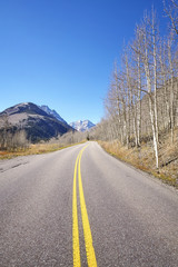 Fototapeta premium Mountain road from Aspen to Maroon Bells in autumn, Colorado, USA.