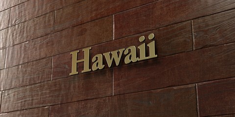 Hawaii - Bronze plaque mounted on maple wood wall  - 3D rendered royalty free stock picture. This image can be used for an online website banner ad or a print postcard.