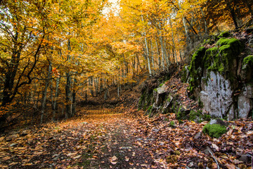 Rota das Faias, Serra da Estrela
