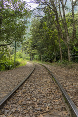 マチュピチュ行きのペルーレイル