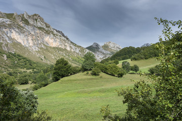 Fototapeta premium Hay meadows in Valle del Lago, one of fifteen parishes in Somiedo, a municipality located in the central area of the Cantabrian Mountains, Principality of Asturias, Spain