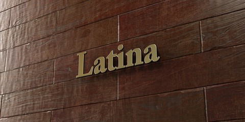 Latina - Bronze plaque mounted on maple wood wall  - 3D rendered royalty free stock picture. This image can be used for an online website banner ad or a print postcard.