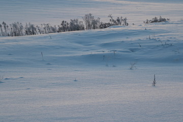 Snow field in beams of a rising sun