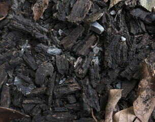 Wooden dry sliver firewood bark background