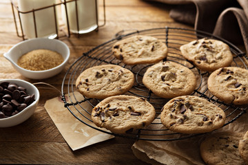 Homemade chocolate chip cookies with milk