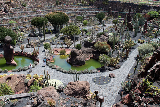 Ein Kaktusgarten auf Lanzarote