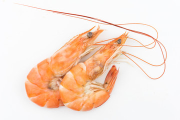 Shrimps. Prawns isolated on a White Background .Seafood