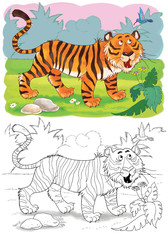 Cute African animals. A tiger. Coloring page.