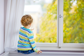 ittle kid boy sitting near window and looking on autumn trees