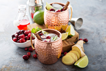 Moscow mule cocktail with ginger and cranberry