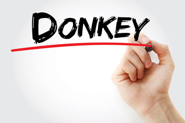 Hand writing Donkey with marker, concept background