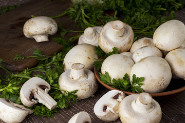 edible raw mushrooms