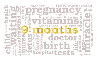 9 months. Word cloud, golden font, white background. The miracle of birth.