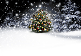 Weihnachtsbaum im Winterwald